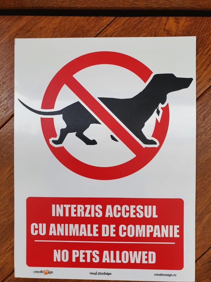 Casa Saga Hotell Gura Humorului Eksteriør bilde